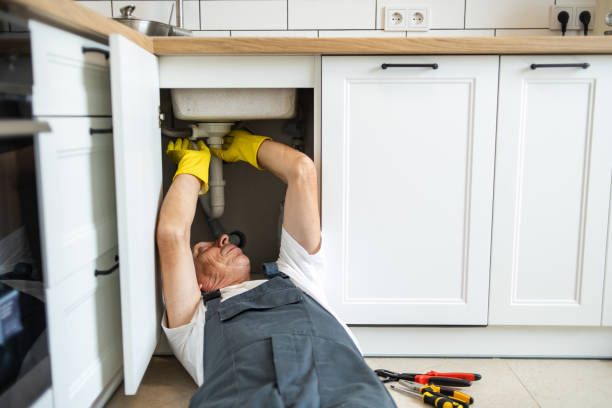 Best Clogged Drain Plumber  in Royal Palm Estates, FL