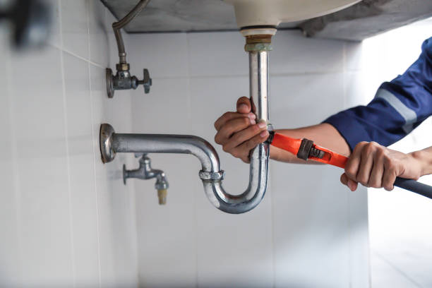 Best Plumbing Inspection Services  in Royal Palm Estates, FL