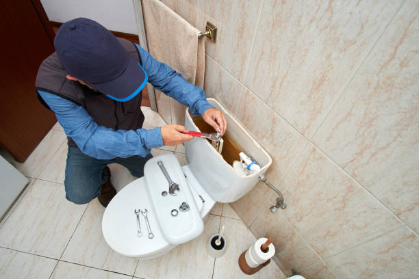 Best Residential Plumbing Services  in Royal Palm Estates, FL