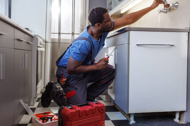 Best Plumbing Services Near Me  in Royal Palm Estates, FL