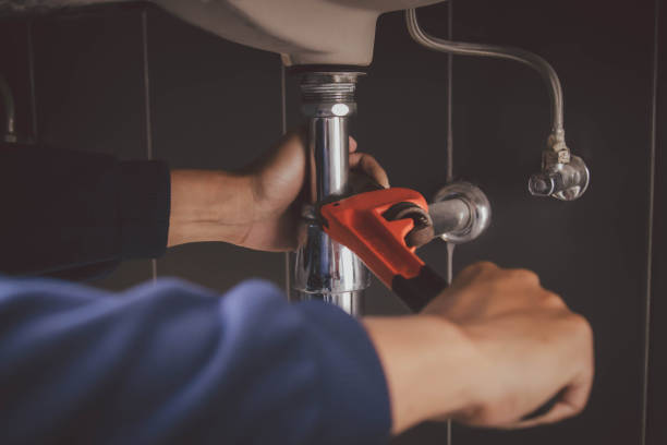 Best Drain Cleaning Services  in Royal Palm Estates, FL